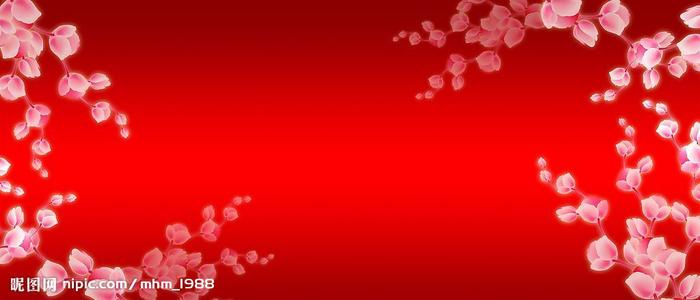 海德堡师范大学Accounting Diploma